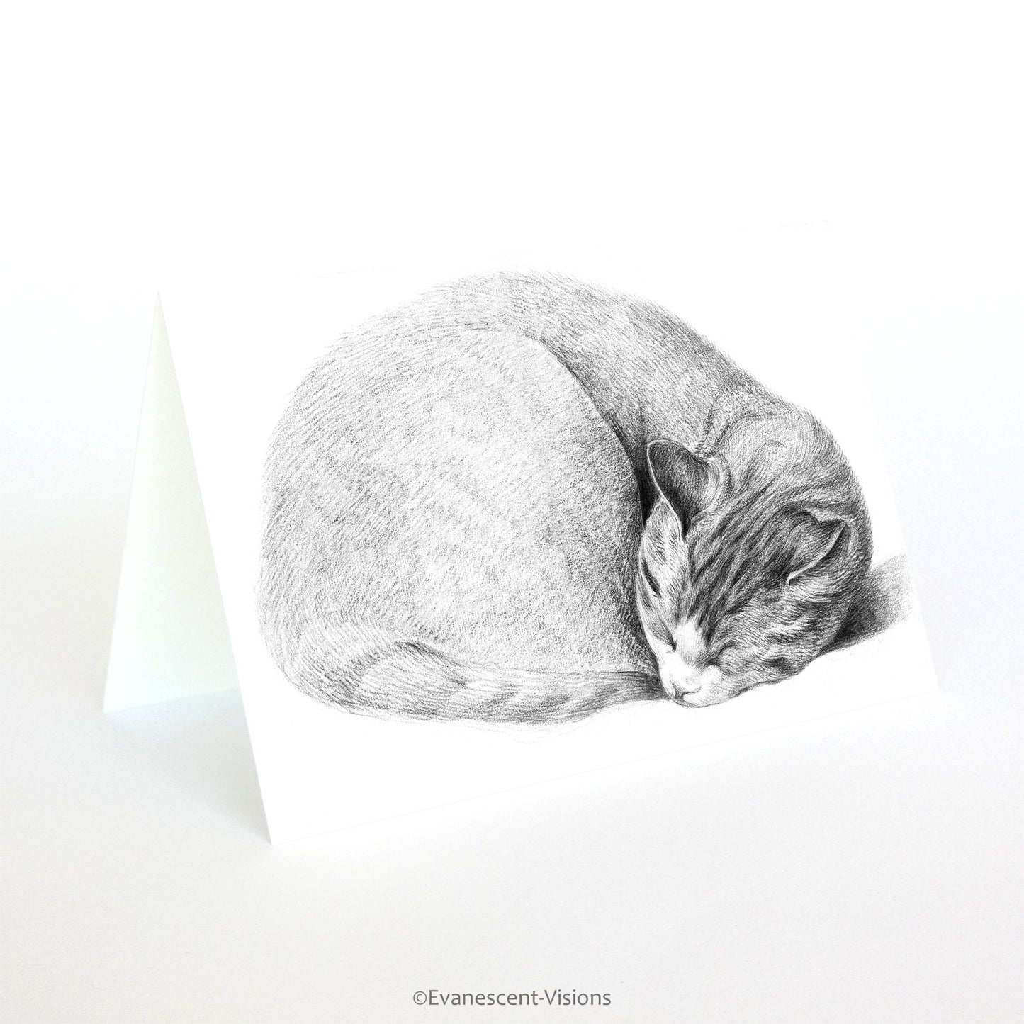 Sleeping card illustration art card