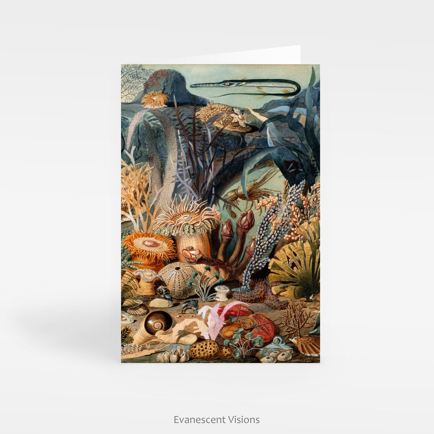 Front standing view of the Ocean Life Art Notecard