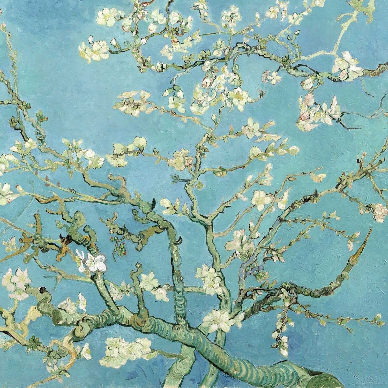 Evanescent visions vincent van gogh collection