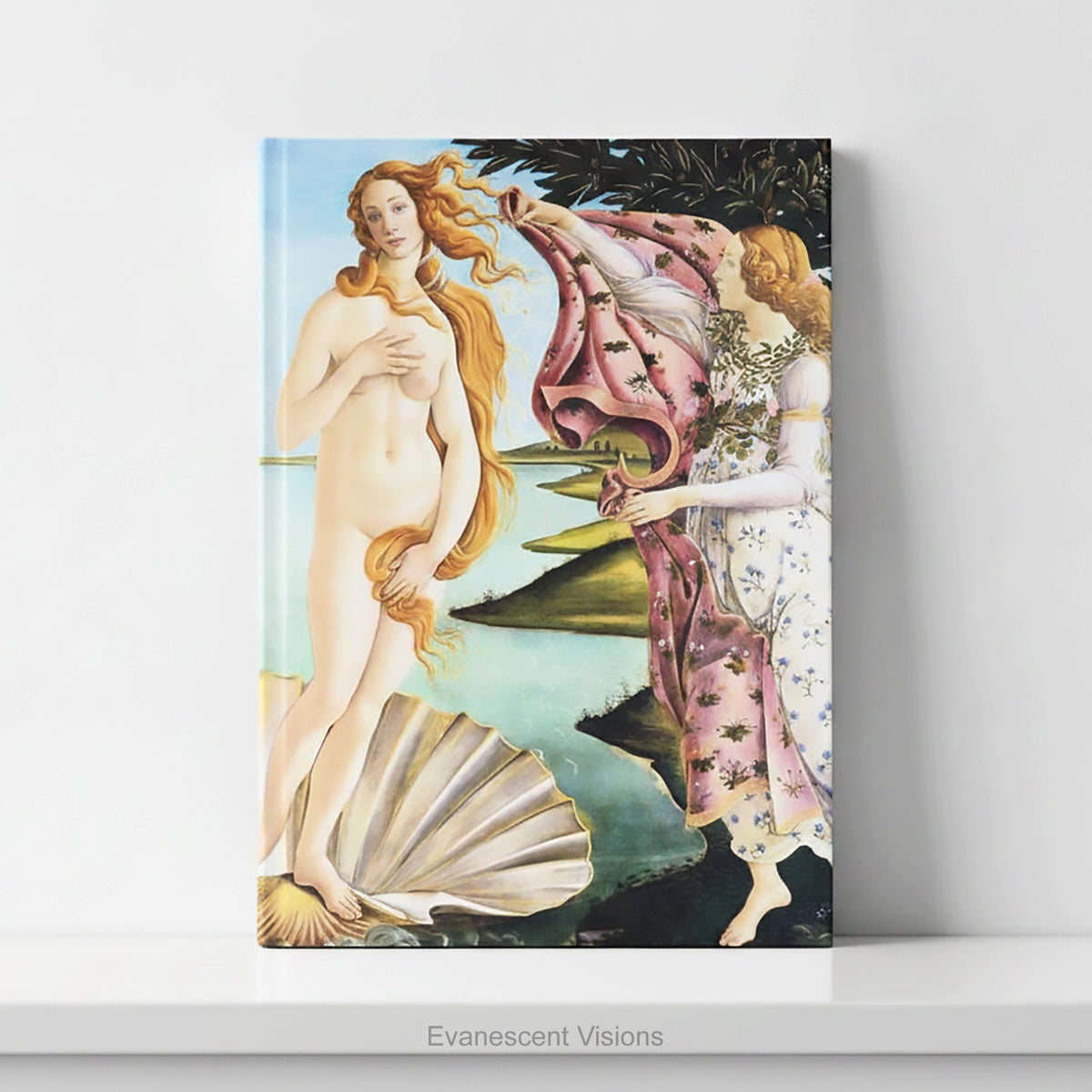 A hardcover featuring Sandro Botticelli's classic painting 'The Birth of Venus' displayed standing upright on a white shelf against a light gray wall. 