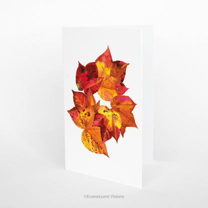 Autumn Fall Leaves Fine Art Greeting Card
